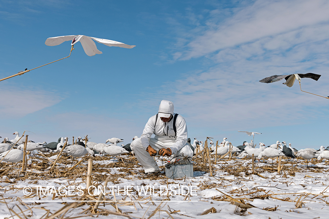 Hunters setting decoys.