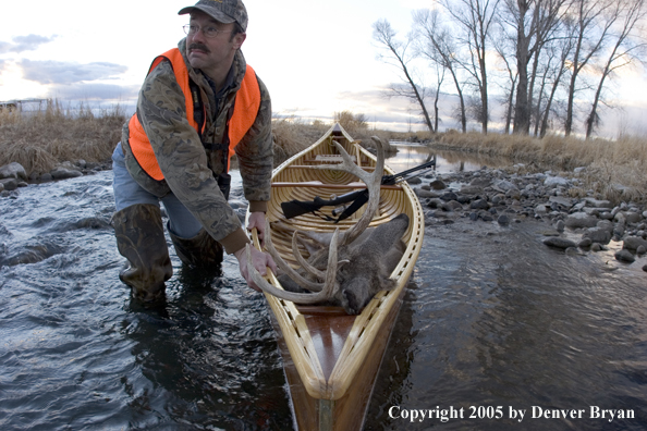 Big game hunter dragging canoe with bagged white-tail deer in bow