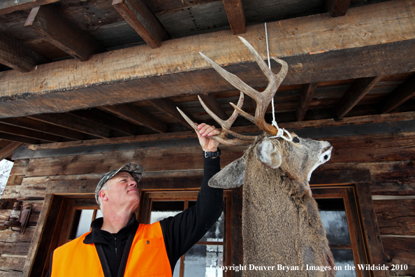 White-tailed deer hunter stands with buck hanging from cabin.