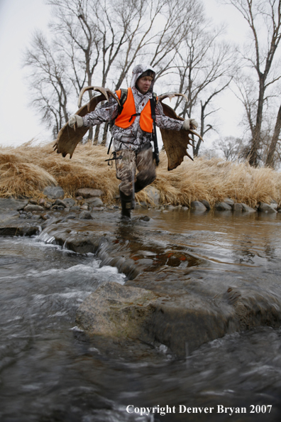 Moose hunter in field