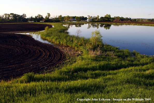 Wetlands near crop fields