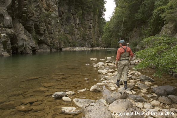 Flyfishermen scanning river for fish.