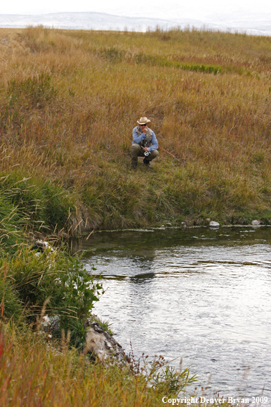 Flyfisherman fishing on stream