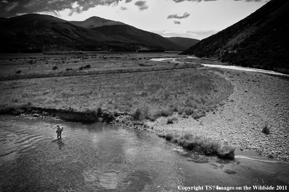 Fly fisherman in river. 