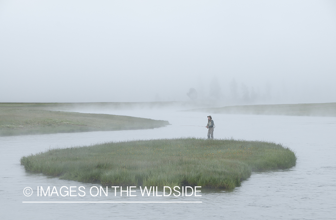 Flyfishing on Firehole River, Yellowstone National Park.