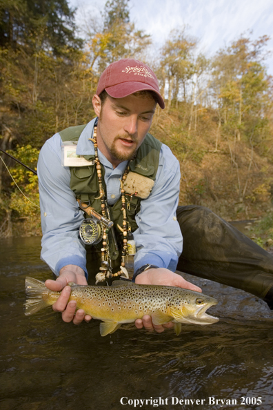 Close-up of nice brown trout.