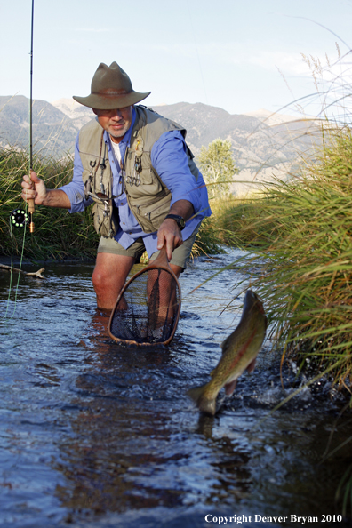 Flyfisherman landing rainbow trout