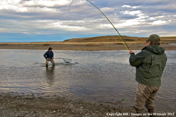 Flyfishermen catching brown trout. 