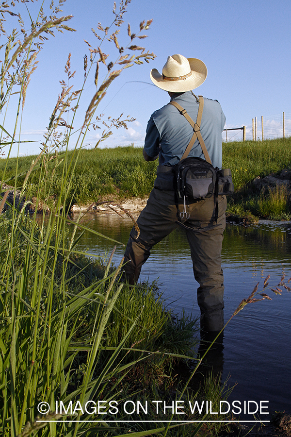 Flyfisherman flyfishing small stream in Montana.