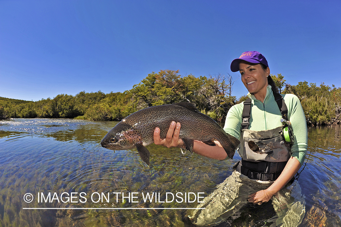 Flyfisher with rainbow trout.