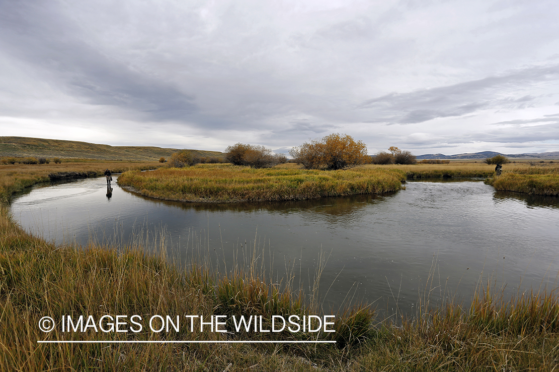 Flyfishermen in field.