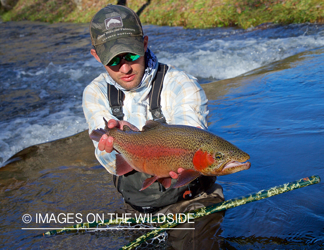 Flyfisherman with rainbow trout.