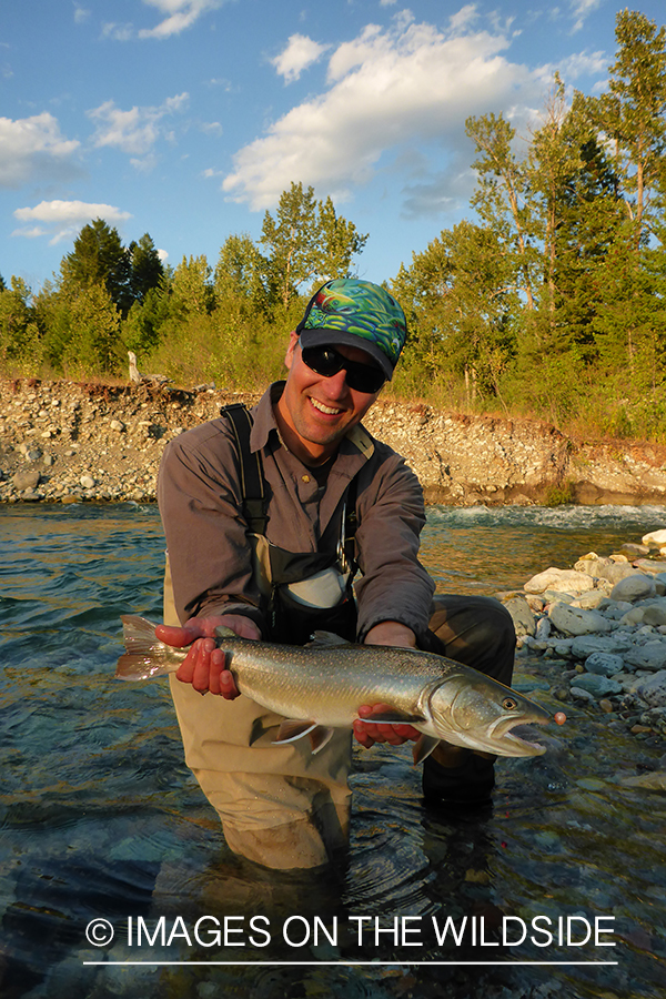 Flyfisherman releasing bull trout.