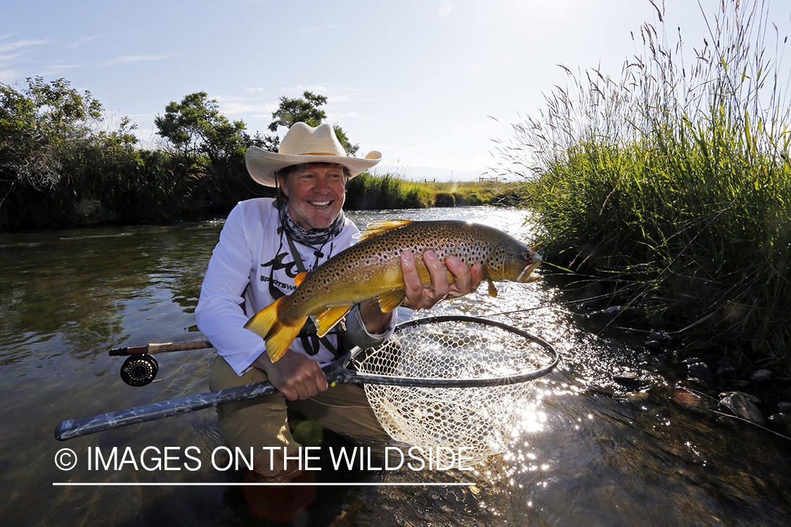 Flyfisherman releasing brown trout.