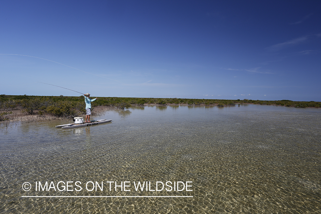 Saltwater flyfisherman on stand up paddle boards.