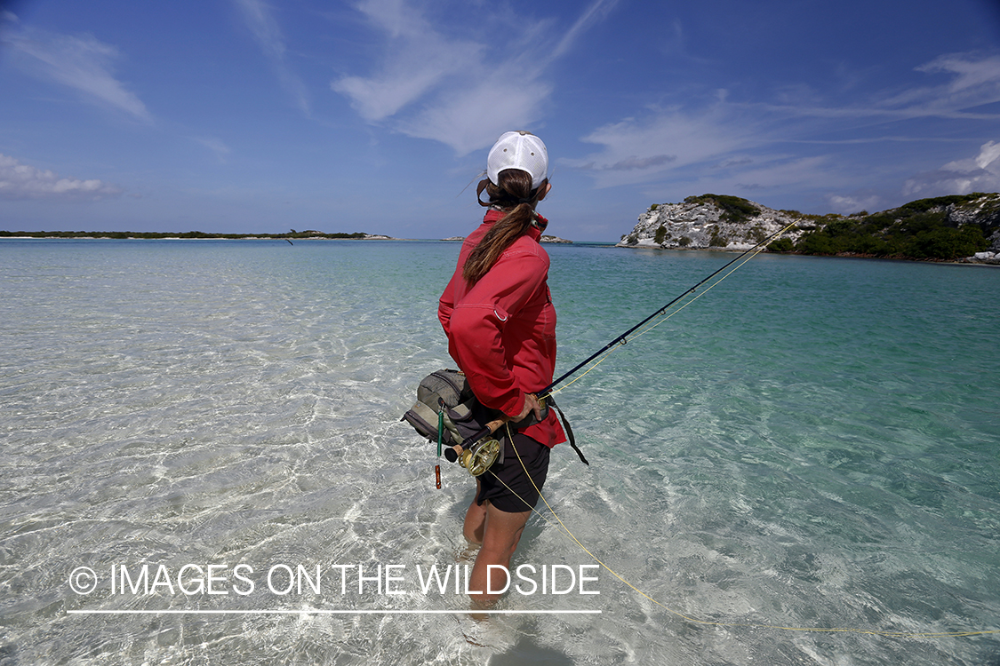 Saltwater flyfishing woman looking for fish in flats.