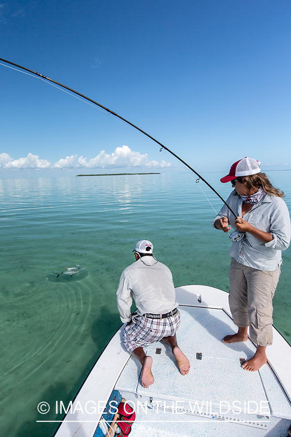 Flyfishing woman with permit on line.