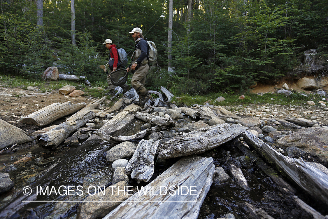 Flyfishermen hiking to fishing stream.