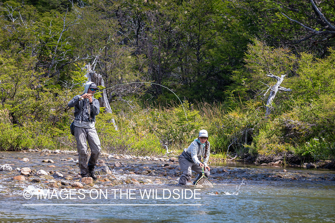 Woman fly fishing guide(Marcela Appelhanz) on stream.