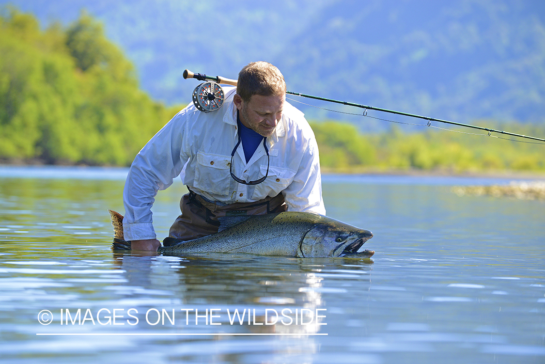 Flyfisherman with king salmon.