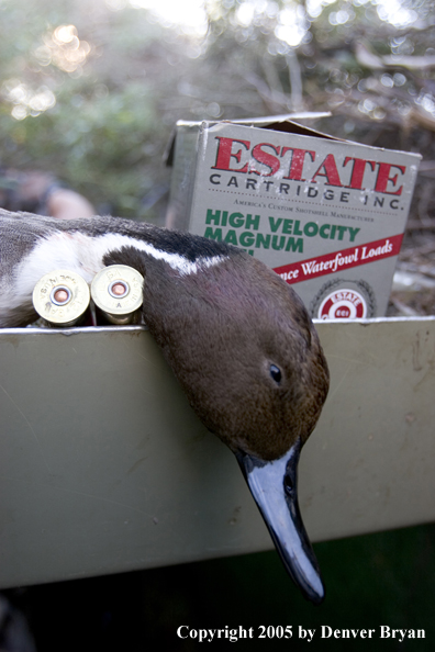 Close-up of bagged duck and box of shells in blind.