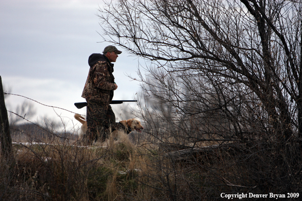 Waterfowl Hunter with Dog