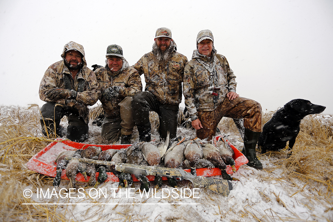 Duck hunters with bagged mallards in winter snow conditions.