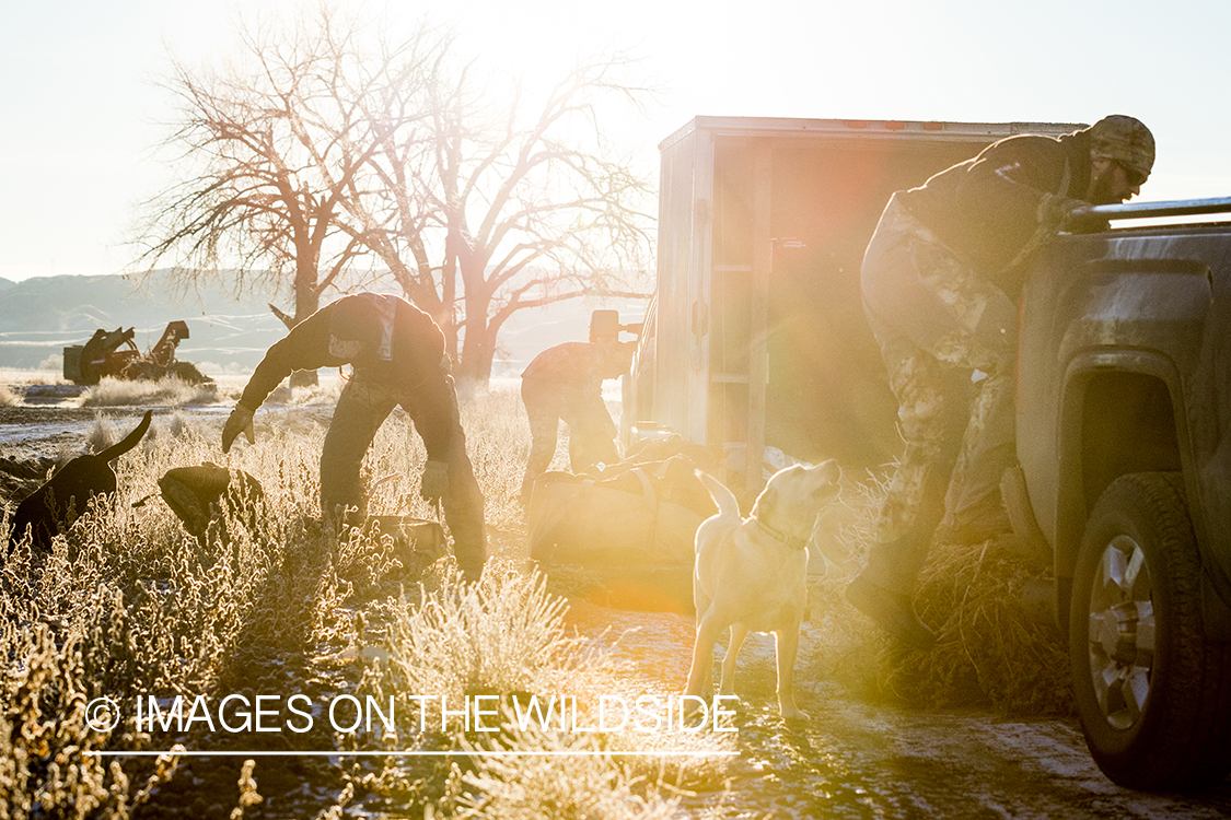 Hunters setting up Canada geese decoys.