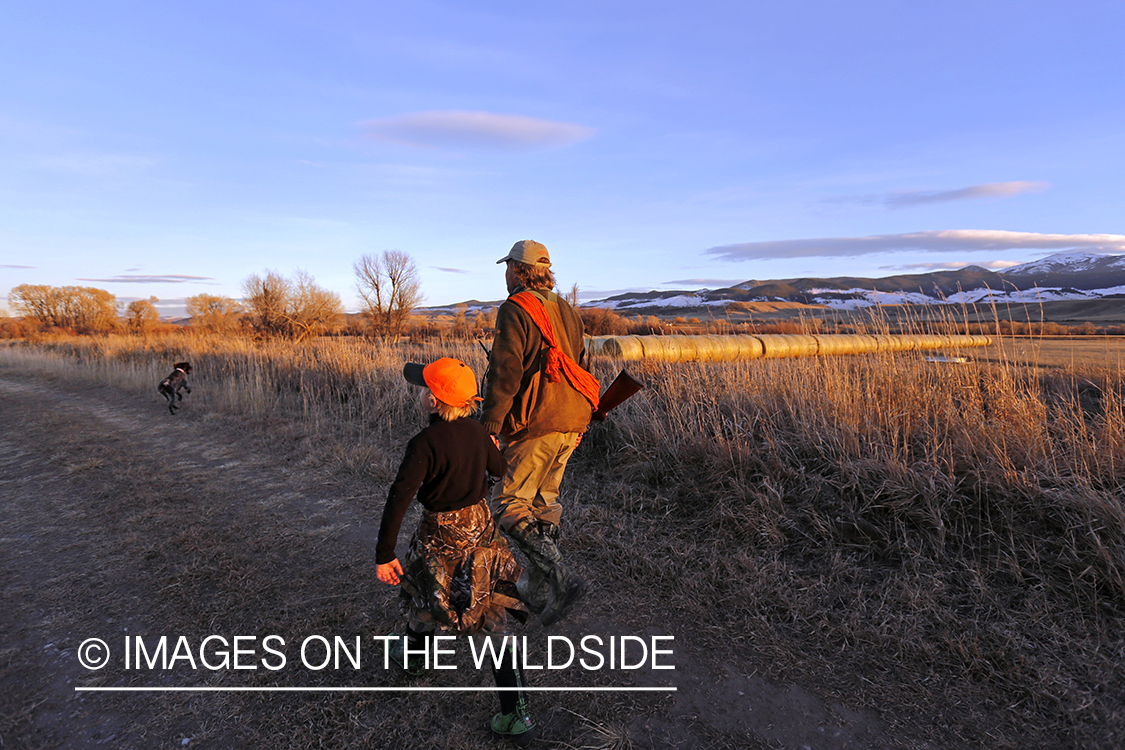 Father and son pheasant hunting.