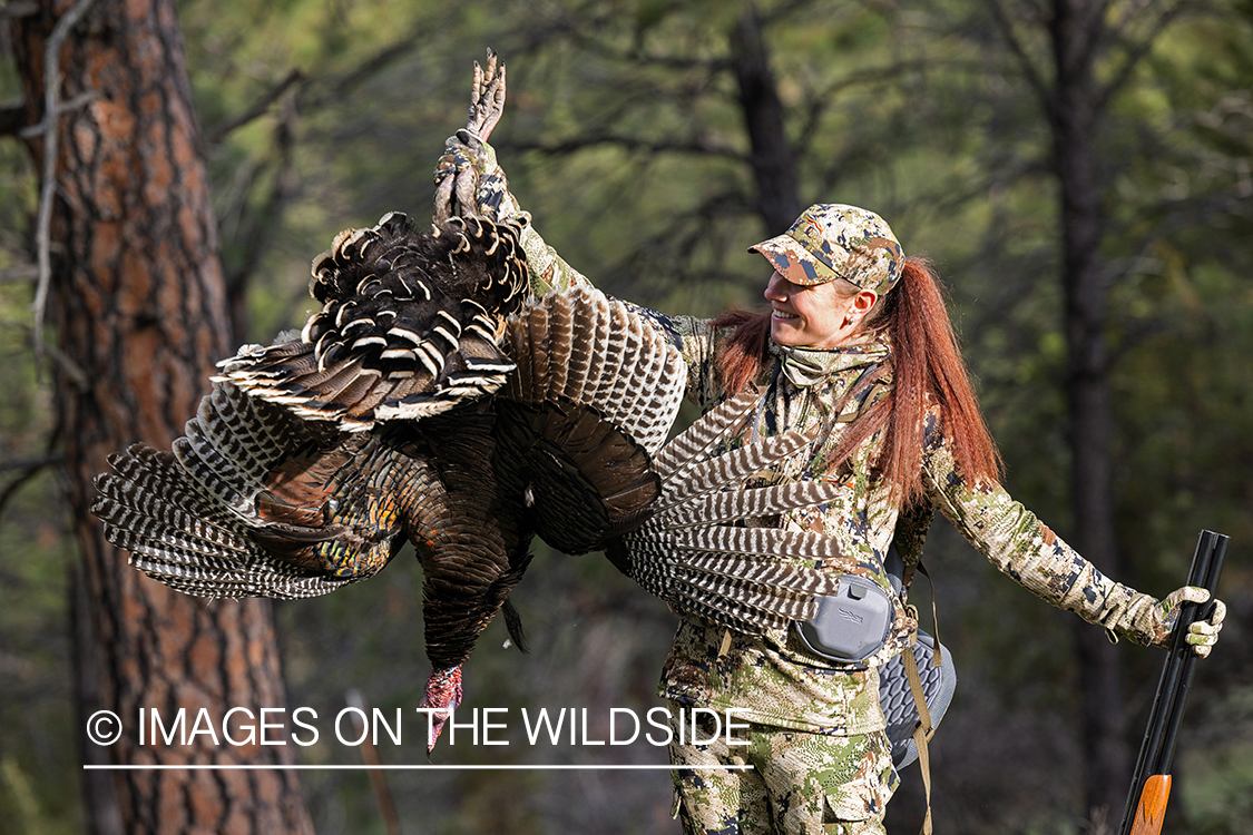 Women hunter with bagged turkey.