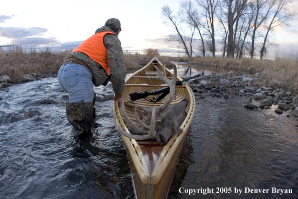 Big game hunter dragging canoe with bagged white-tail deer in bow