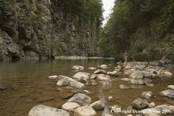 Flyfisherman scanning river for fish.