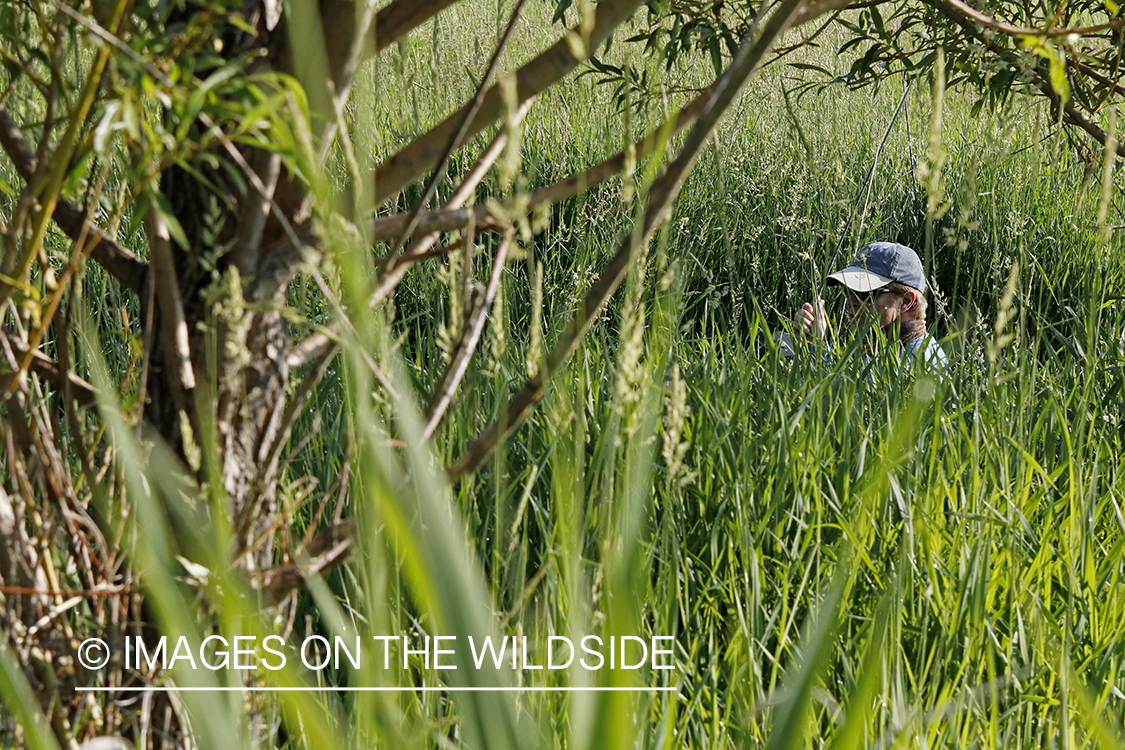 Fisherman behind tall grass.