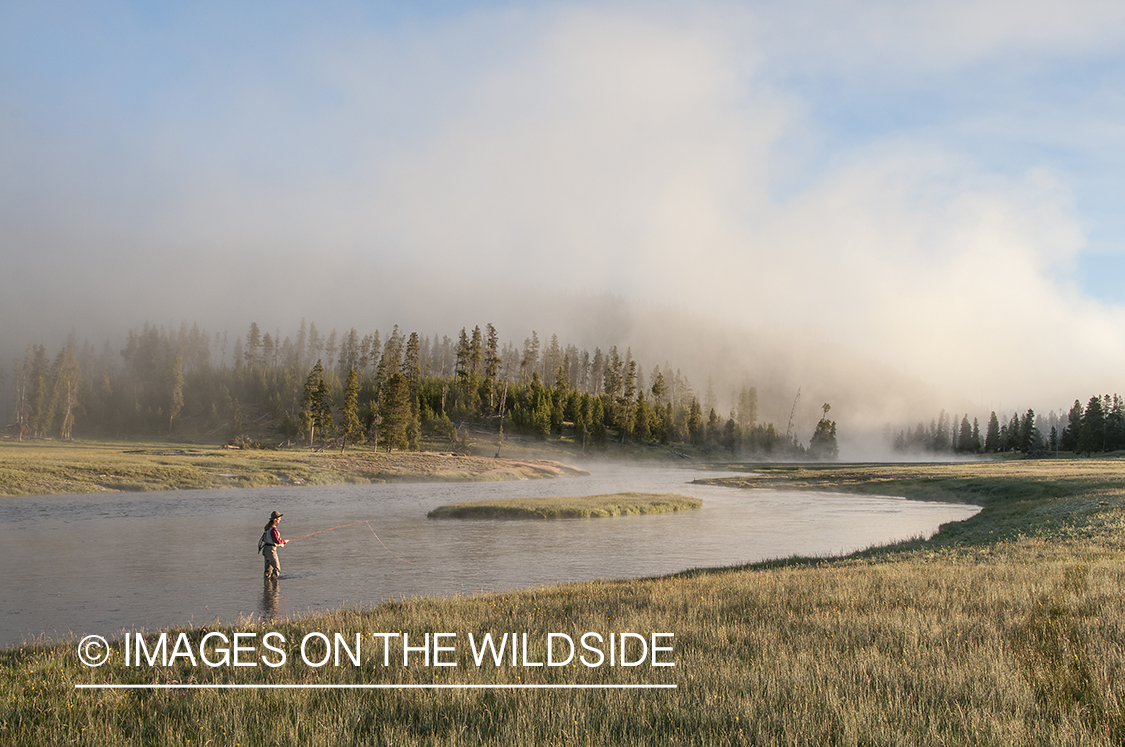 Flyfishing on Firehole River, Yellowstone National Park.