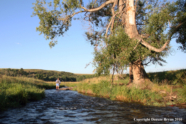 Flyfisherman landing rainbow trout