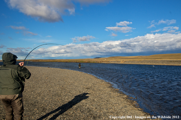 Flyfisherman with fish on. 