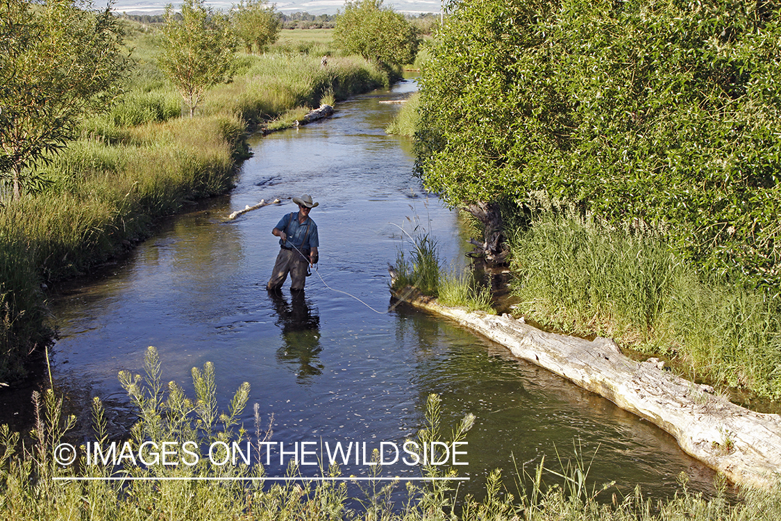 Flyfisherman flyfishing small stream in Montana.