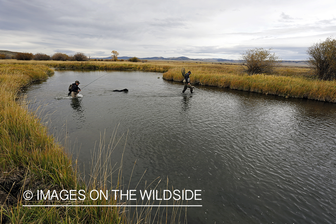 Flyfishermen in field.