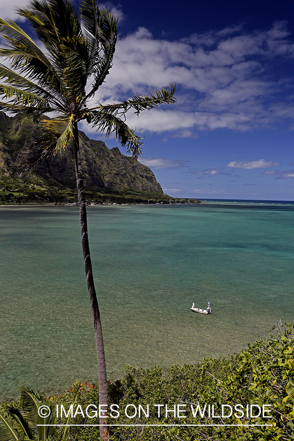 Saltwater flyfishermen fishing on flats boat, in Hawaii.