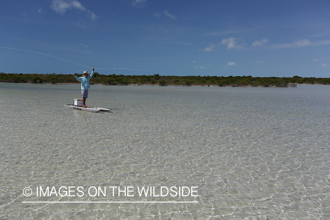 Saltwater flyfisherman on stand up paddle boards.