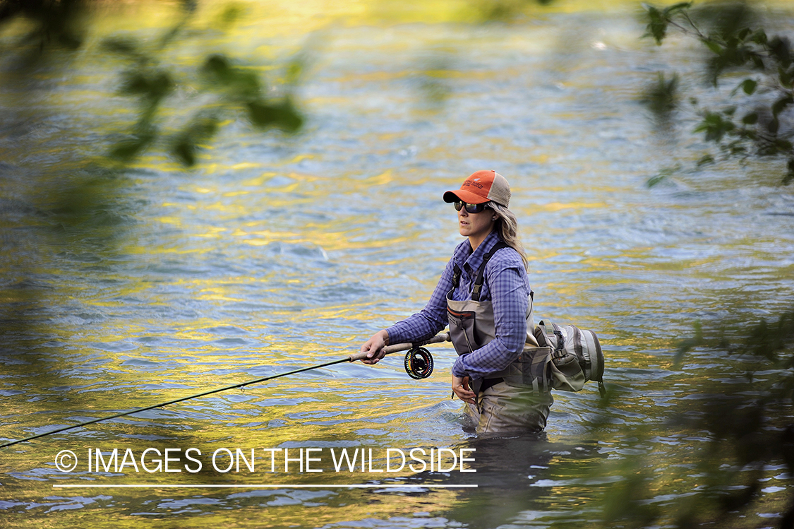 Woman flyfisher casting on river.