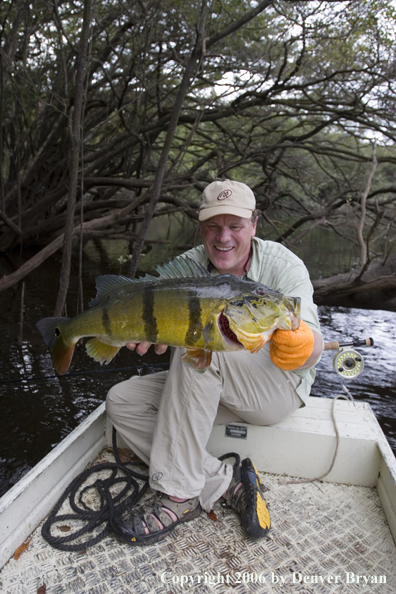 Fisherman holding Peacock Bass