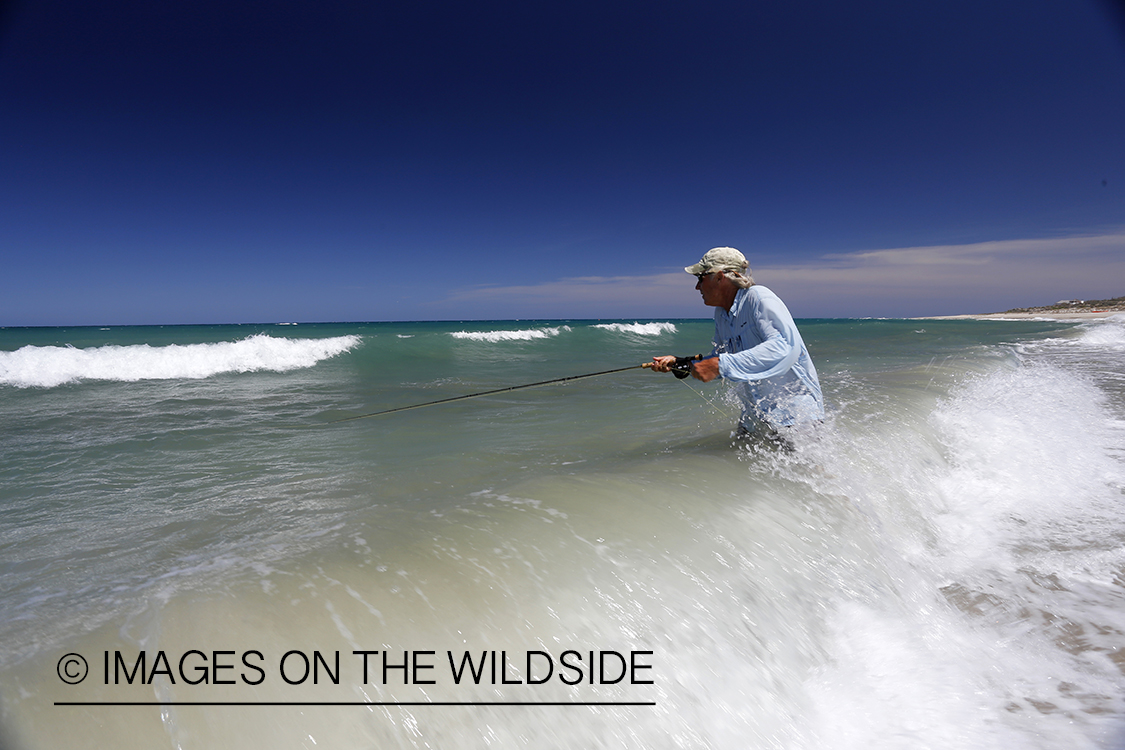 Flyfisherman fishing for roosterfish on beach.