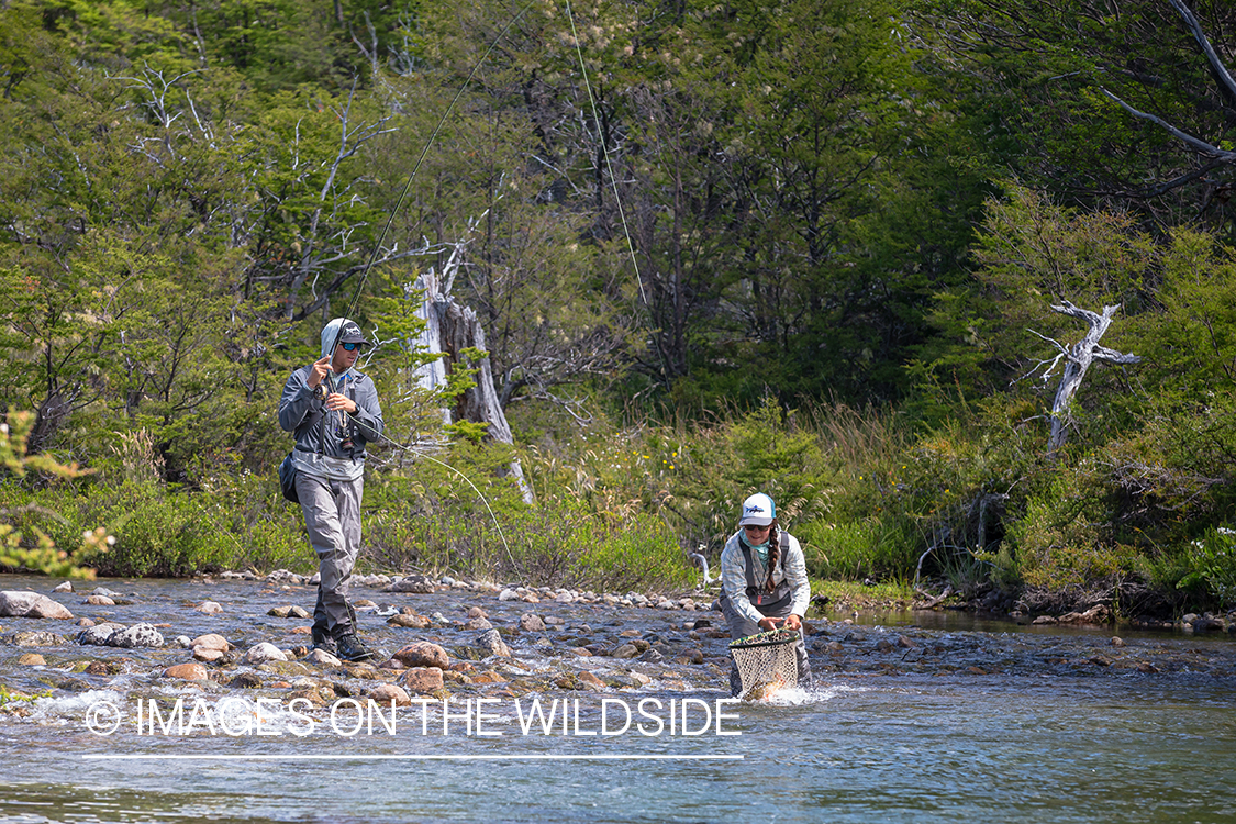 Woman fly fishing guide(Marcela Appelhanz) on stream.