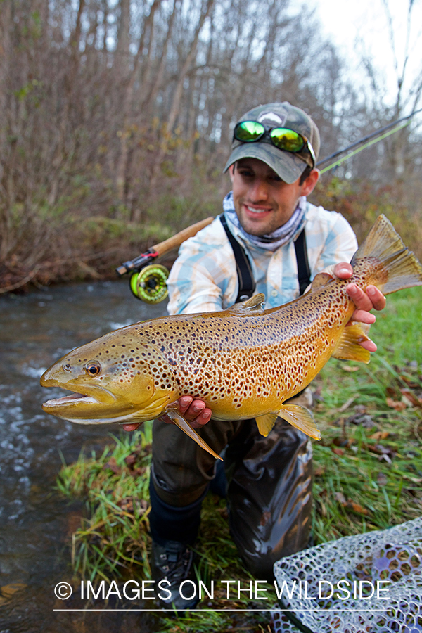 Flyfisherman with brown trout.