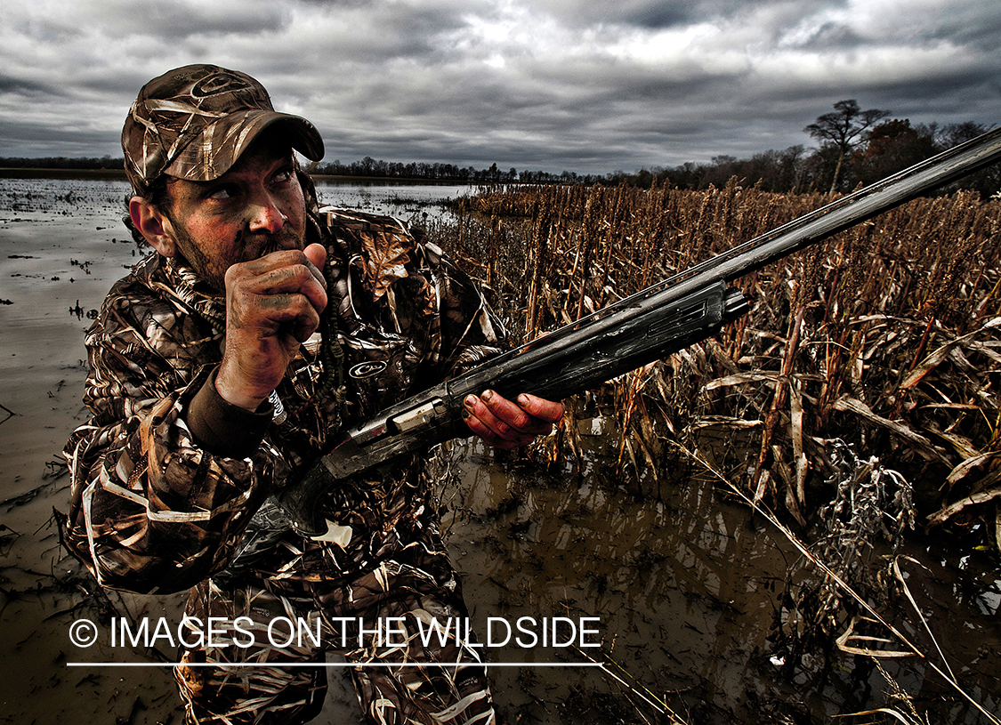 Waterfowl hunter waterfowl calling in wetlands.