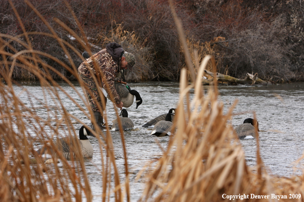 Setting Decoys