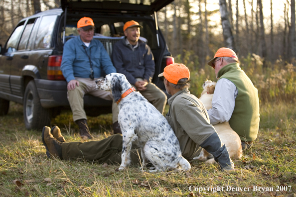 Upland game bird hunters resting with dogs out in field.