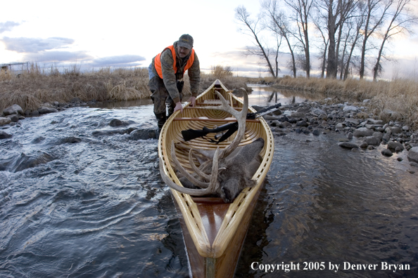 Big game hunter dragging canoe with bagged white-tail deer in bow