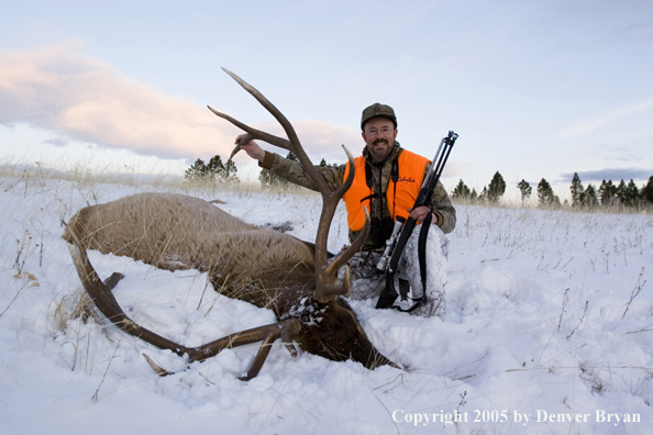 Elk hunter with downed elk.